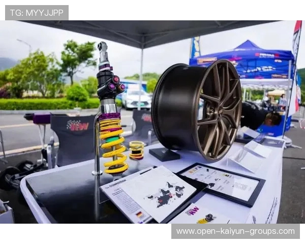 世界耐力赛持续上演,车队策略成胜负关键,cess耐力赛